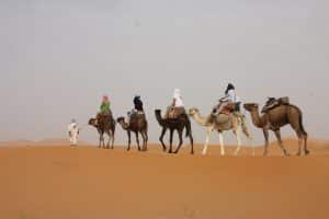 Morocco Safari Tours