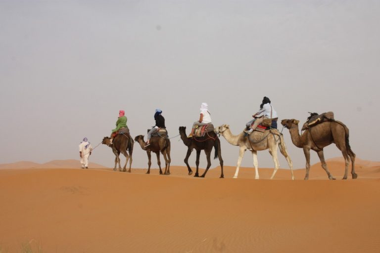 Morocco Safari Tours