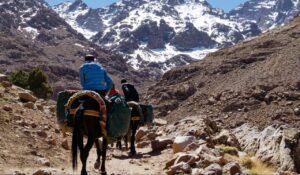 atlas trekking